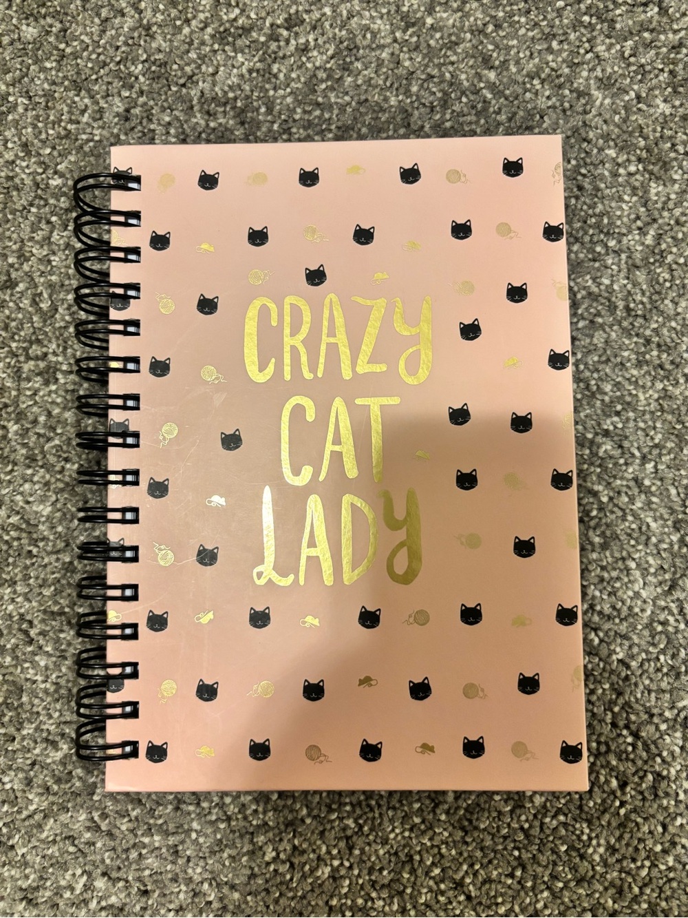3/$20 | Pink "Crazy Cat Lady" Spiral Notebook